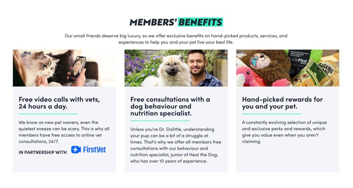 Waggel Pet Insurance - Reviewed | Compare Prices on Best10Scout.com